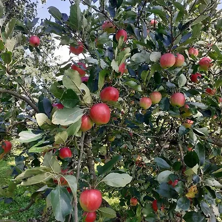 Nasza Bajka Agroturismo *