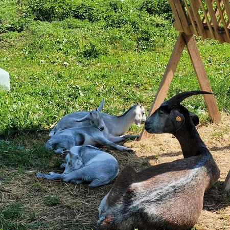 Agroturismo Nasza Bajka Pieniezno
