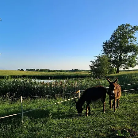 Κατάλυμα σε φάρμα Nasza Bajka