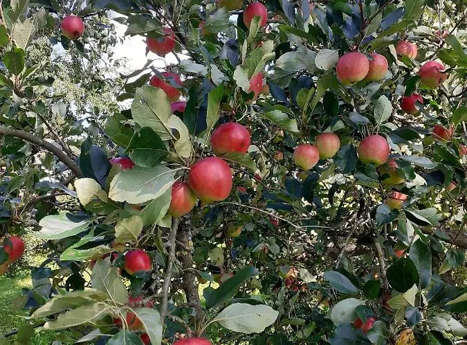 Nasza Bajka Séjour à la ferme *