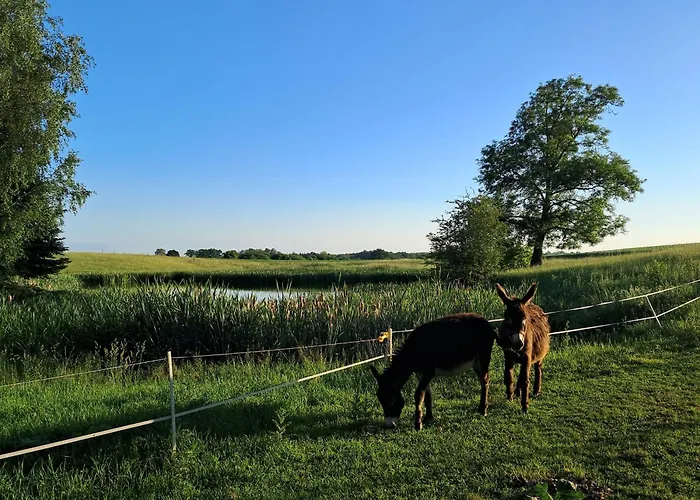 Séjour à la ferme Nasza Bajka